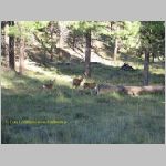 20060820_19BryceCanyon_021 copia.jpg